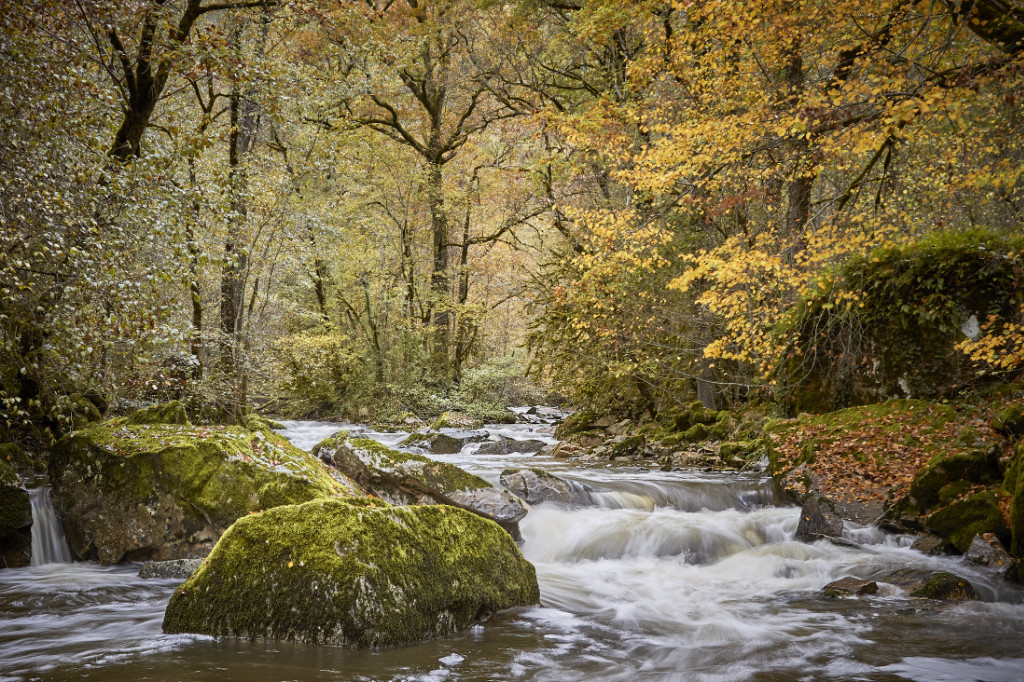 automne cascade